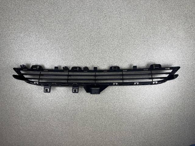 51117294476 BMW Решетка бампера переднего верхняя купить в Житомир