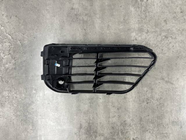 51117453979 BMW Решетка бампера переднего левая купить в Чернигов
