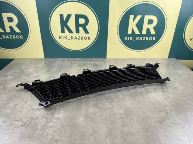 BMW 51118069367 Решетка бампера переднего центральная в наличии Ужгород