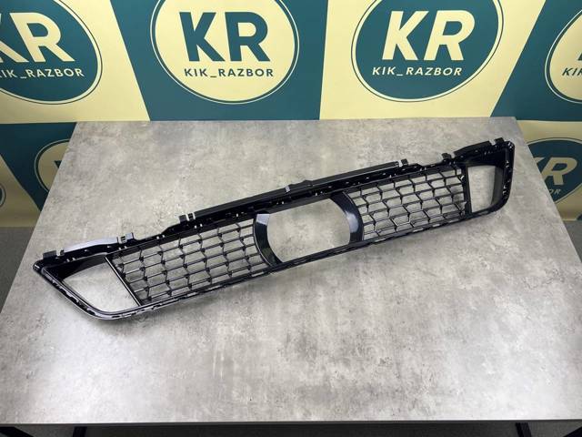 BMW 51118098664 Решетка бампера переднего нижняя в наличии Кривой Рог