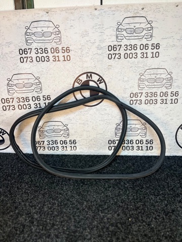 BMW 51727468731 Уплотнитель двери передней (на кузове) в наличии Полтава