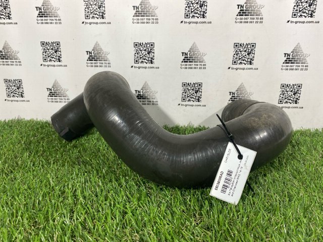 55038006AD Патрубок интеркулера купить Ирпень