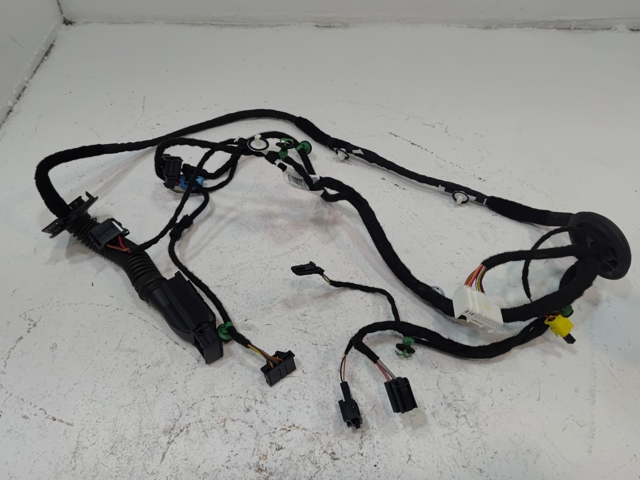 Электропроводка передней двери 3CN971121BS VAG