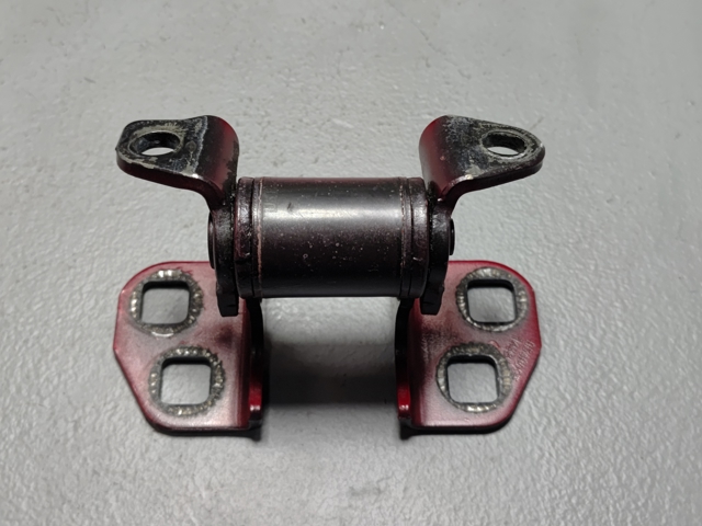 Петля двери передней 600954900F TESLA