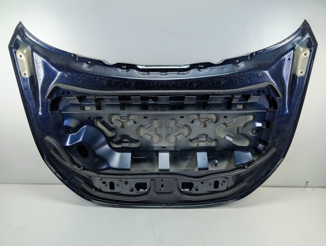LR133101 LAND ROVER Капот купить в Ужгород