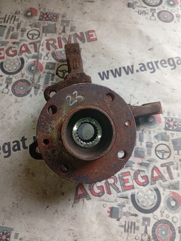 RENAULT 402027463R Передняя ступица в наличии Днепр