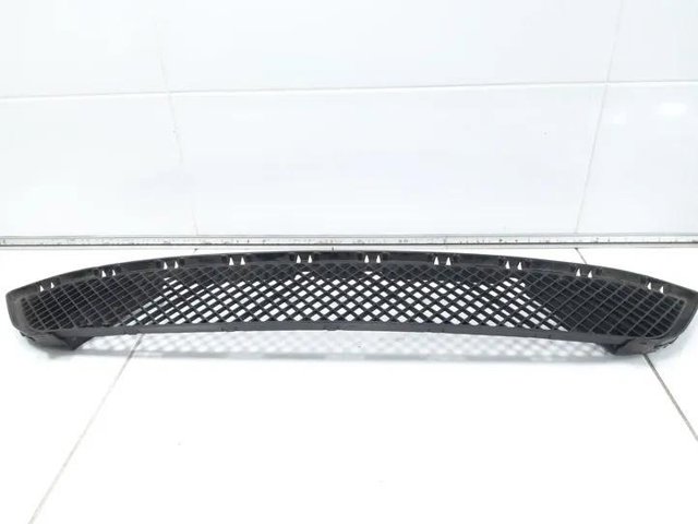 51117303752 BMW Решетка бампера переднего центральная купить в Киев