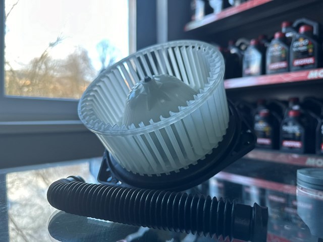 DD1008TT THERMOTEC Вентилятор печки купить в Черновцы