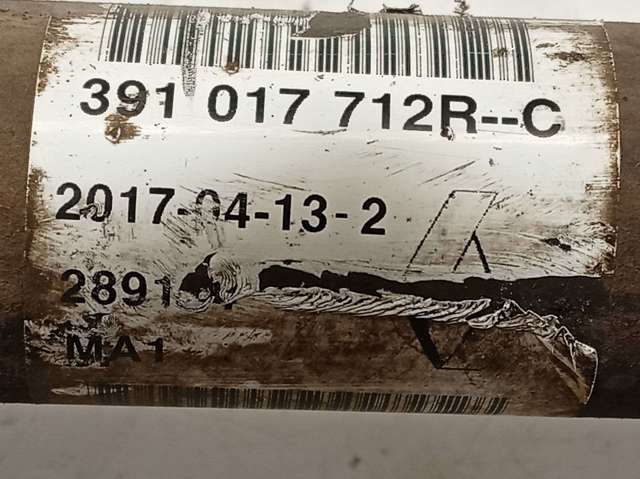 RENAULT 391017712R в наличии Павлоград