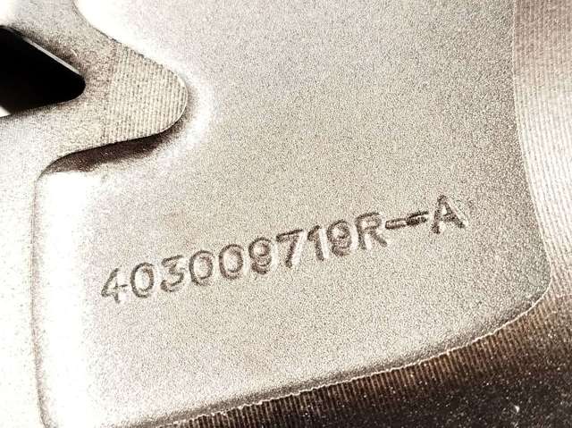 403009719R купить Черновцы
