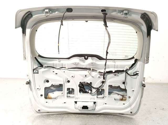 901002669R RENAULT Дверь задняя (багажная 3/5-я (ляда) купить в Кривой Рог