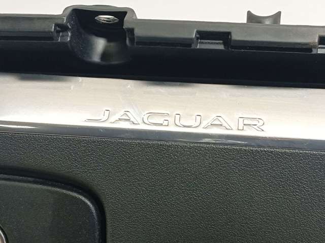 JAGUAR T4A13812PVJ в наличии Одесса