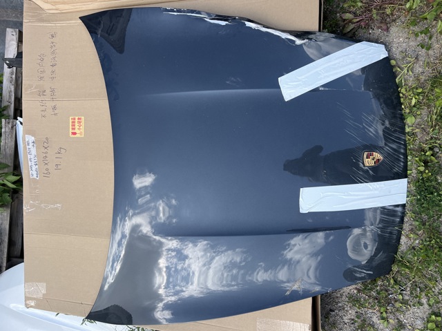 PORSCHE 9J1823031AYGRV Капот в наличии Хмельницкий