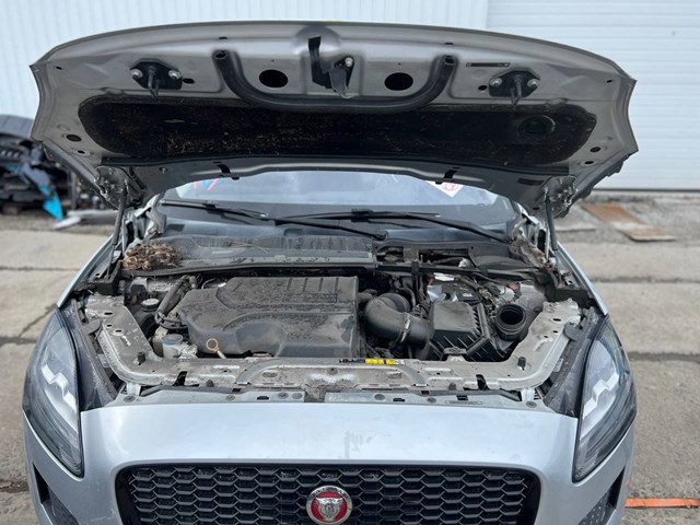 J9C3770 JAGUAR Капот купить в Ирпень