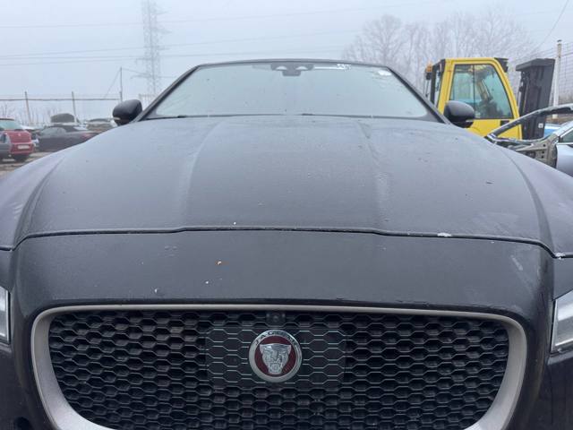 T2H7077 JAGUAR Решетка бампера купить в Полтава