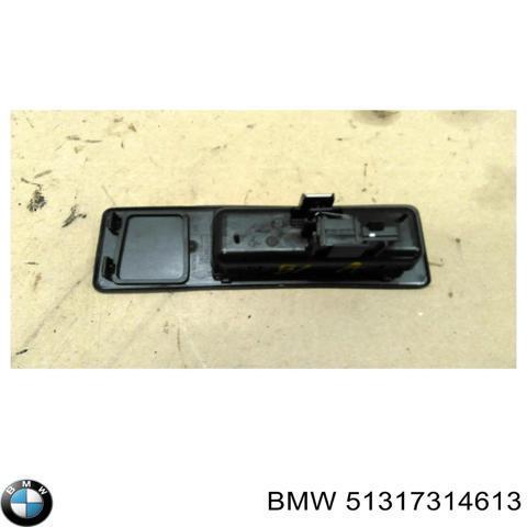 BMW 51317314613 Стекло багажника двери 3/5-й задней (ляды) в наличии Харьков