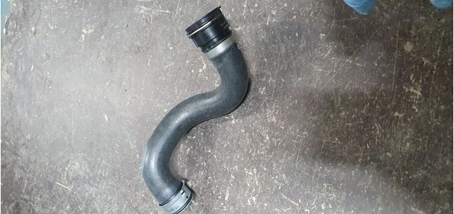 215034GD0A NISSAN Шланг (патрубок) радиатора охлаждения нижний купить в Винница