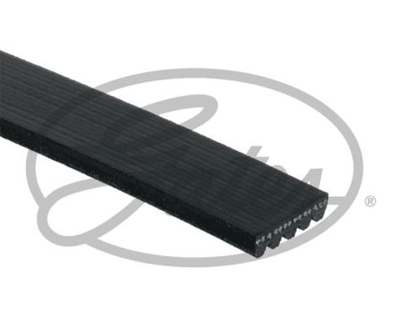 5PK1815 GATES Ремень агрегатов приводной купить в Черновцы