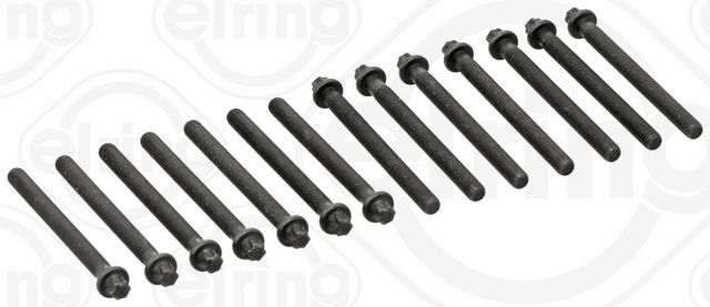 ELRING 802820 Болт головки блока цилиндров (ГБЦ) в наличии Полтава
