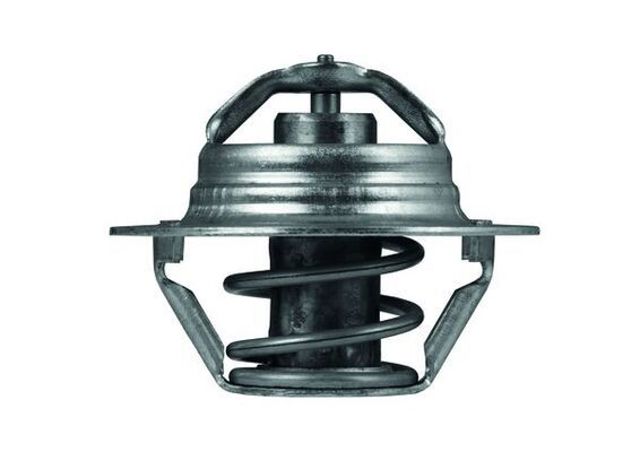 MAHLE TX10089D Термостат в наличии Украина