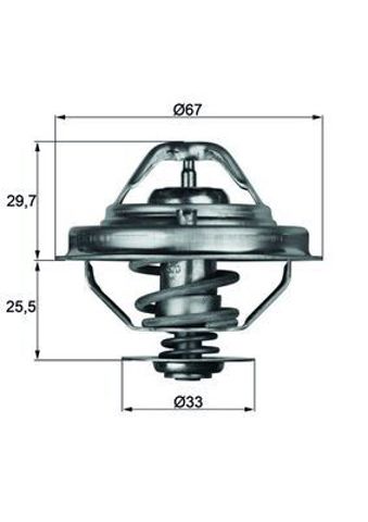 TX3880D MAHLE Термостат купить в Одесса