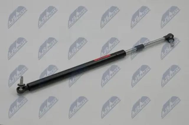 Амортизатор задней двери AECH001 NTY