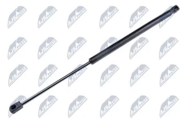Амортизатор крышки багажника AEFR005 NTY