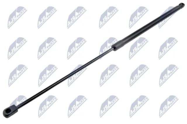 Амортизатор крышки багажника AEFR053 NTY