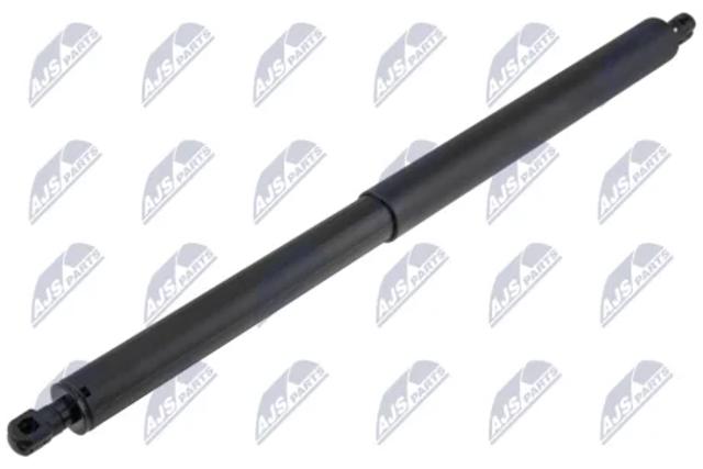 Амортизатор задней двери AEKA045 NTY