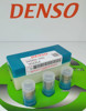 Распылитель форсунки 0934001850 DENSO