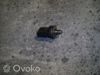 Sensor de pressão de combustível 06J906051B VAG