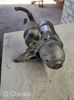 Motor de arranco 233006N200 NISSAN