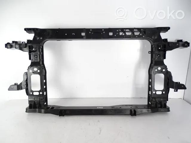 64101S1000 Hyundai/Kia