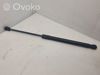 Amortecedor da capota 811602B010 HYUNDAI
