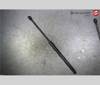 Amortecedor de tampa de porta-malas (de 3ª/5ª porta traseira) 817701G000 HYUNDAI