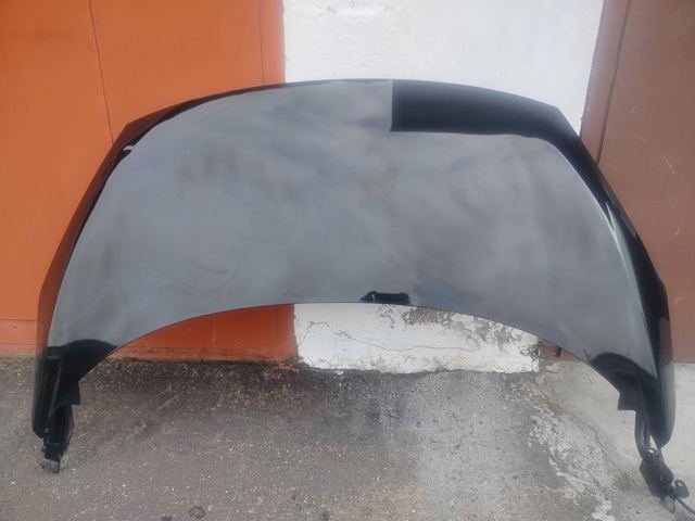 651003439R RENAULT Капот купить в Житомир