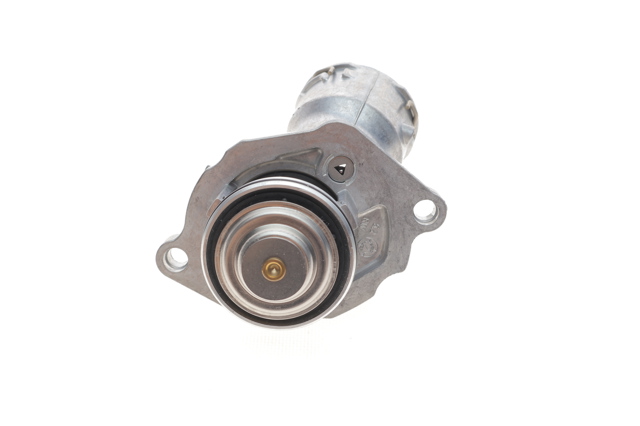 WAHLER 4833100D Термостат в наличии Ужгород