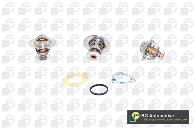 Термостат отключающий клапан CT5488K BGA