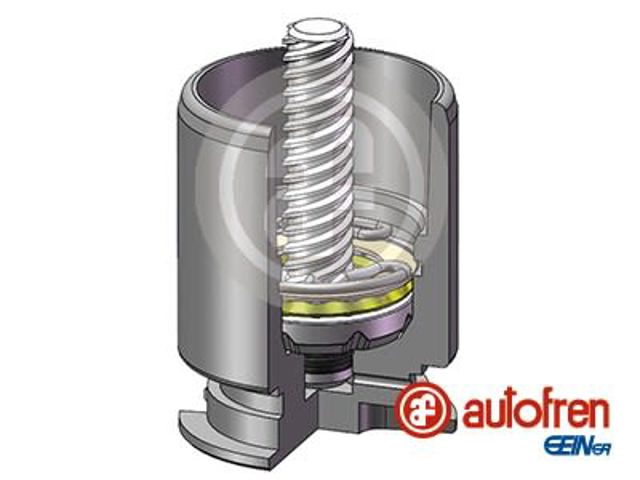 AUTOFREN D02554RK Поршень суппорта тормозного заднего в наличии Каменское