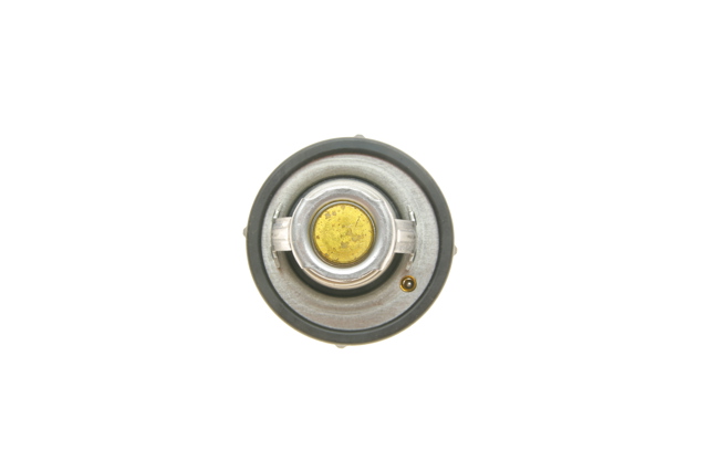 TX10882D Термостат купить Каменское