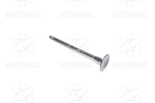 132022959R Renault (RVI)