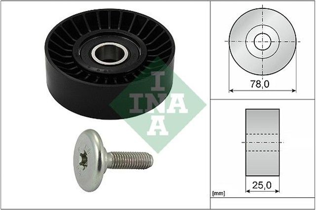 INA 532043910 Паразитный ролик в наличии Павлоград