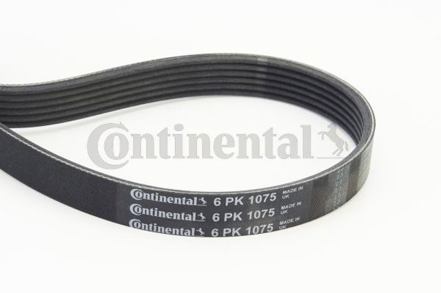 6PK1075 CONTINENTAL Ремень генератора купить в Черкассы
