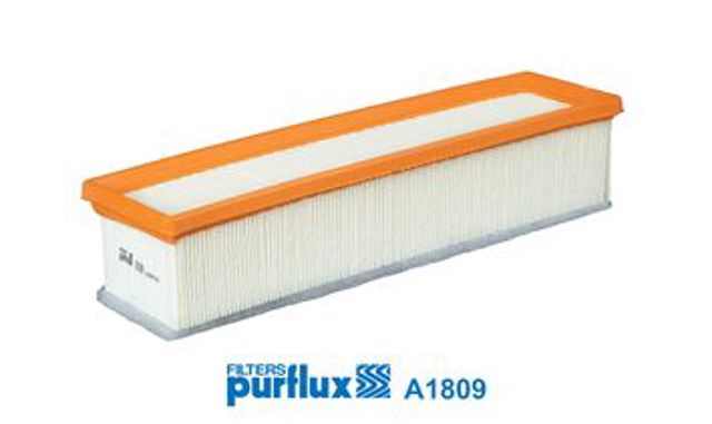 PURFLUX A1809 Фильтр воздушный в наличии Киев