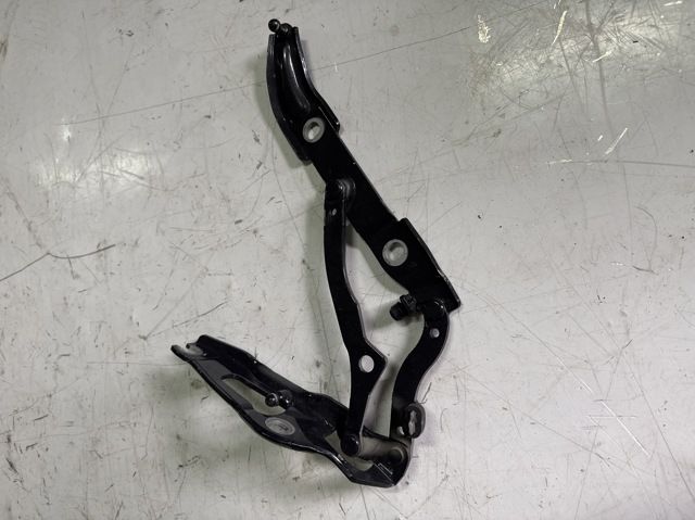 Петля крышки багажника 41007373848 BMW