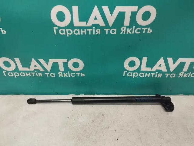 42841644 Амортизатор багажника купить Полтава
