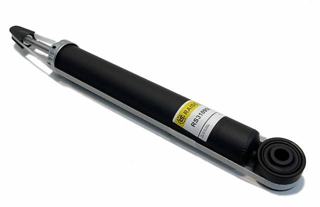 RAISO RS310950 Амортизатор задний в наличии Винница