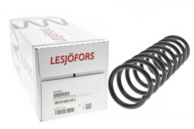 4056841 LESJOFORS Передняя пружина купить в Житомир
