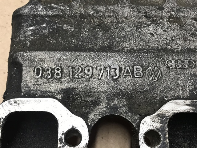 VAG 038129713AB Коллектор впускной в наличии Днепр