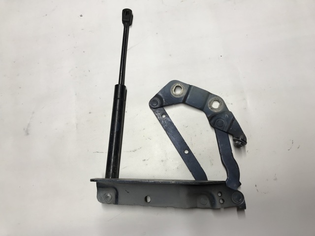 Петля капота, правая 6H5216800AC LAND ROVER